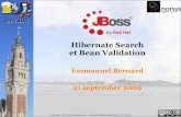 Hibernate Search & Bean Validation