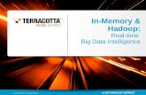 Terracotta Hadoop & In-Memory Webcast