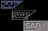 Shifting Focus: SAP for Mid-size and Small Businesses