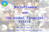 Microfinance and the Global Financial Crisis