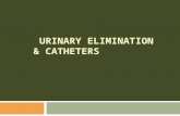 Urinary Elimination & Catheters