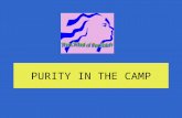 Purity In The Camp
