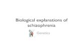 Biological explanations of schizophrenia