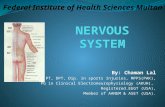 Nervous system by Dr Chaman Lal (CK)