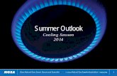 Natural Gas Supply Association Summer 2014 Outlook