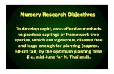 CHIANG MAI COURSE - Design of a tree nursery for forest restoration