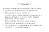 Endocrine and reproduction