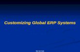Virtual Trader; - The end of ERP customizations