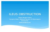 Ileus obstruction