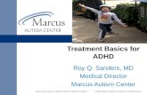ADHS Treatment Basics