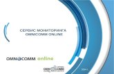 Presentation omnicomm service (possibilities omnicomm online)