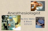 The Career of Anesthesiologist