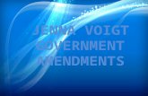 Government admendments