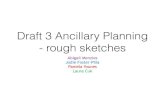 Ancillary planning draft 3
