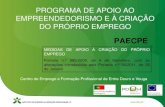 Comunicação Paula Oliveira, IEFP