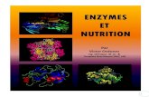 Enzymes et Nutrition