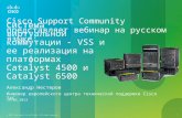 Система виртуальной коммутации - VSS и ее реализация на платформах Catalyst 4500 и Catalyst 6500