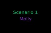 Scenario Molly