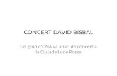 Concert david bisbal