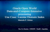 Data-and-Compute-Intensive processing Use Case: Lucene Domain Index