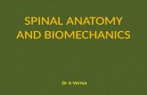 Spinal anatomy and biomechanics