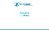Zimmer - Trauma - Bio Pharma Day 2013 Milano
