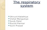 Respiratory system Ppt