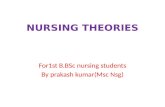 Nursing theories 123