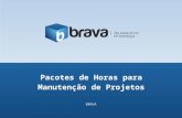 BRAVA - Pacote de Horas Manutenção de Projetos