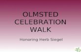 Celebration Walk Siegel