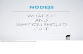 What is NodeJS - Why Should You Care