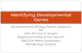 Identifying developmental genes   dev't biology