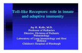 Toll-like Receptors: role in innate and adaptive immunity