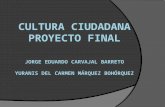 Proyecto Final - Cultura Ciudadana