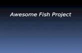 Awesome Fish Project PPT Prototype