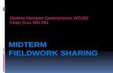Midterm Fieldwork Sharing Darlene Caramanzana and Cindy Cruz-Cabrera February 2013 Presentation