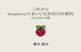 これから Raspberry Pi をいじる方向けの資料 20130616版