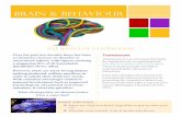 Brain and behaviour newspaper article: Ethar Bashir