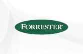 Forrester Research on Optimizing Globally Distributed Software Development Using Subversion