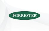 Forrester Research on Globally Distributed Development Using Subversion
