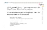 SeGF 2013 | eCH-Prozessplattform: Prozessmanagement der Zukunft in der Schweizer Verwaltung (Florian Evéquoz & Daniel Hadrian)