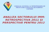 ANALIZA SECTORULUI IMM: RETROSPECTIVA 2011 SI PERSPECTIVE PENTRU 2012