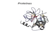 Tema 4. Proteinas