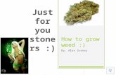 How to grow weed