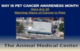 May is Pet Cancer Awareness Month - AMCNY