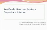 Clase 10 Lesión de Neurona Motora Superior e Inferior