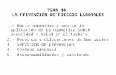 Resumen Ley de Prevención y Reglamento de los Servicios de Prevención en España