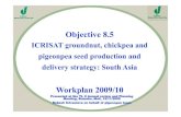36c Rakesh Srivastava Objective 8 5 Work Plan