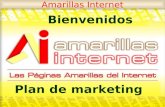 Plan De Marketing Amarillas Internet