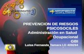 Prevencion de riesgos_psicosociles